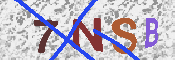 Kontrolní text